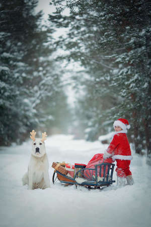 Little funny child dressed in Santa Claus red costume bringing presents in winter snowy forest. Christmas Eveの写真素材