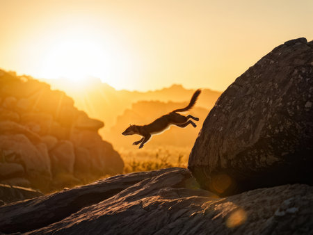 Masterful Capture A Photographer Artistry in Wildlife Photography - An Unforgettable Moment Among Majestic Rocksの素材