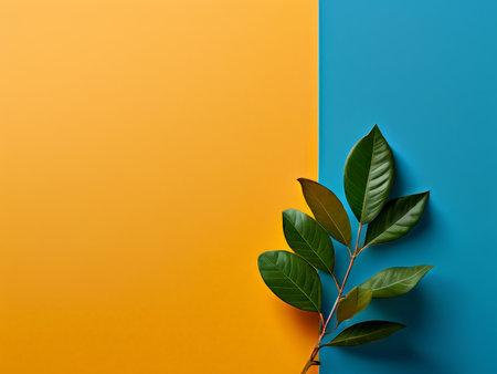 Bold Contrast Harmony A Modern Art Composition Exploring Balance, Creativity, and Natureの素材