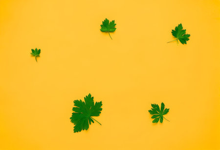 Visual Symphony: A Majestic Array of Colorful Vertical Lines Capturing Attention Across the Screenの素材