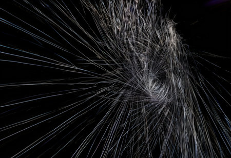Shimmering Light Trails: A Chaotic Symphony Against Darkness , Capturing Ephemeral Moments Through Rapidly Moving White Strands Against a Black Backgroundの素材
