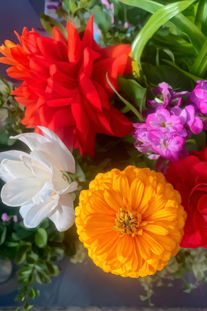 A close-up view of vibrant flowers in various shades including reds, pinks, whites, oranges, and yellows with lush green foliage. The arrangement appears healthy and well-maintaineの素材