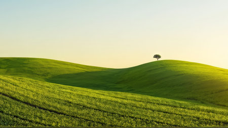 The picture displays a tranquil landscape featuring gentle rolling hills blanketed with lush green crops under a soft-hued sky during what appears to be either sunrise or sunset. Aの素材