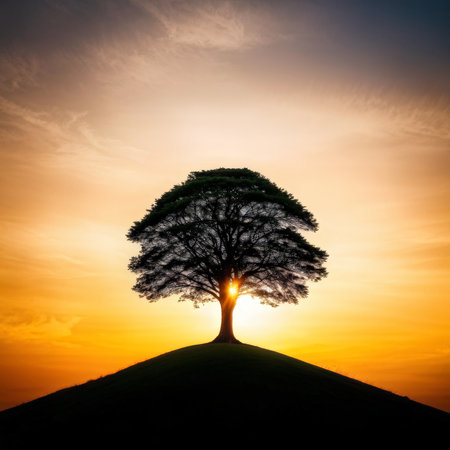 Silhouette of tree on sunset background. Nature and environment concept.の素材