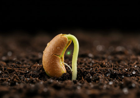 A sprout pushing through soil, surrounded by dewdrops and vibrant green light, promising new growth in early morningの素材