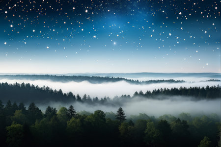 night sky, stars, fir trees, snowの素材