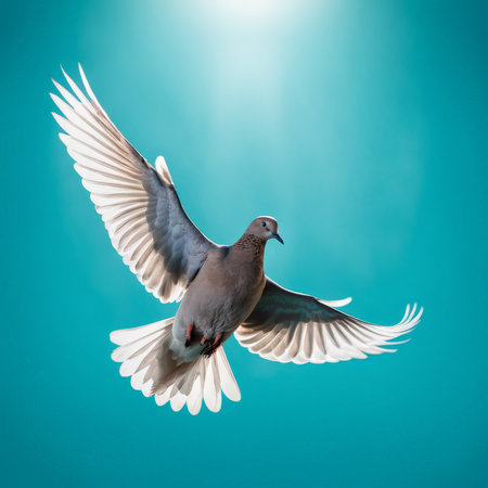 Pigeon flying in the air on a blue background with sun raysの素材