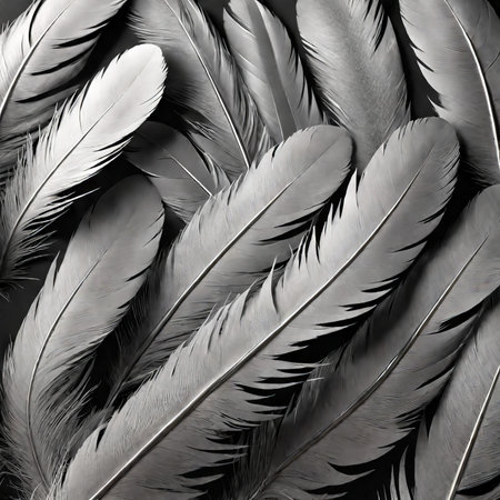 Feathers of a bird on a black background. Close-upの素材