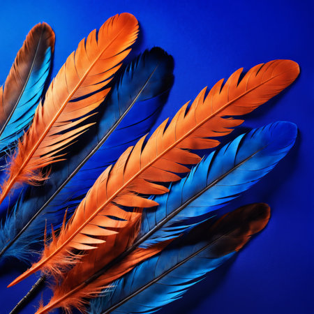 colorful feather background. top view.colorful view.の素材