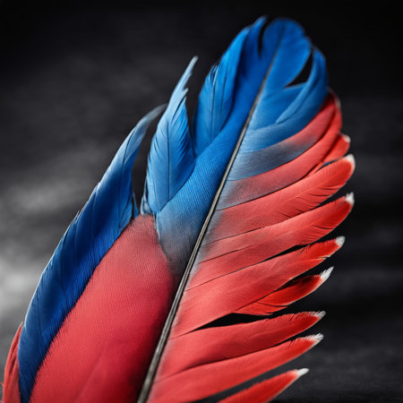 Colorful bird feathers on a dark background. Close-up.の素材