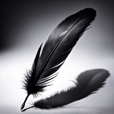 feather of a bird on a dark background close-up macroの素材