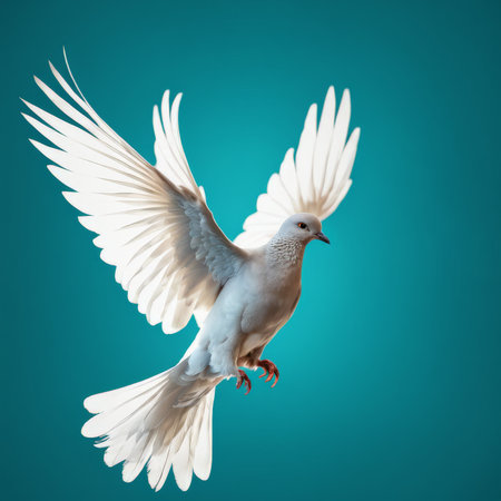 pigeon flying in blue background, 3d renderingの素材