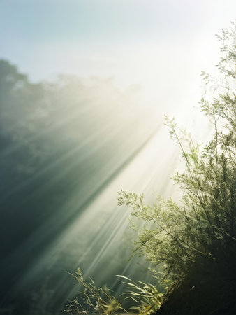 abstract background with green grass and sunlightの素材