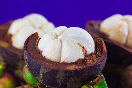 Mangosteen.の写真素材