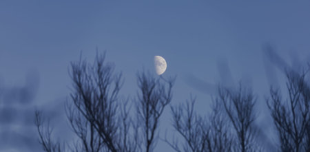 A crescent moon flying across the evening dark sky. It reflects sunlight and so far is the only...