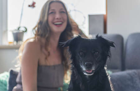 The photo shows a black crossbreed dog with a white beard around his mouth. His ears are pricked. In the background behind the dog sits a laughing woman in a brown dress. Dog sitの写真素材