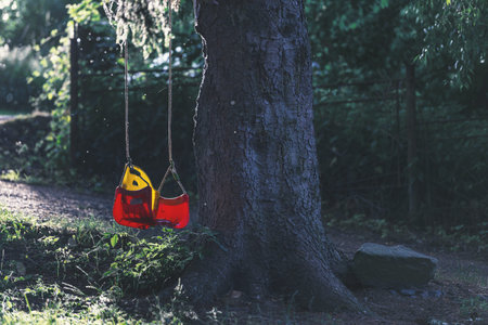 The picture shows a red-yellow swing that is suspended from a tree. On the other side of the tree is...