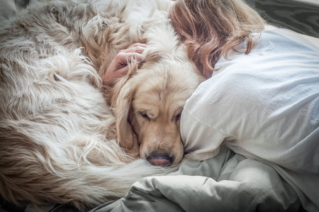 girl and dog hag on the bedの写真素材