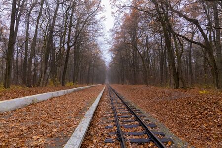 Railroad single track through the woods in autumn. Fall landscape .の写真素材
