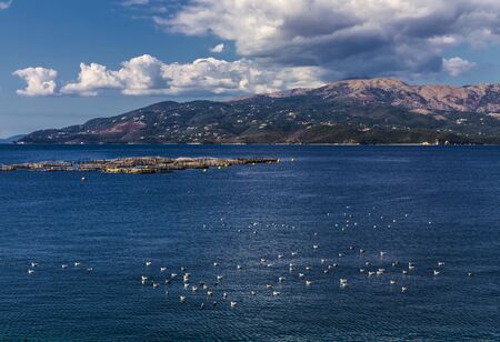 fish farm and large flock of seagulls sitting on the water , view from Albanian coast to Corfu, Greece. Beautiful Ionian sea landscape. Sunny day, big white clouds in the sky.の写真素材