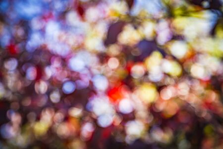 Multicolored defocused bokeh lights red, white, blue, yellow abstract backgroundの写真素材
