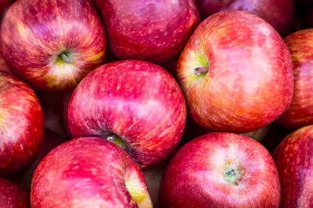 Close-up of shiny red juicy ripe apple fruits at the fruit market, healthy natural food.の写真素材