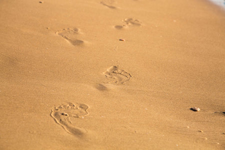Human footprints walking on the wet sand at the beach
