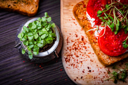 Small jar with basil microgreen sprouts and sandwiches with cream cheese, microgreens, tomato and...