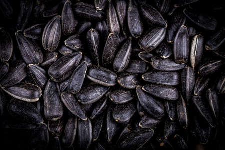 Top view of black sunflower seeds. Organic natural food background. Sunflower seeds are siutable for microgreens sproutの写真素材