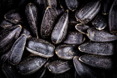 Top view of black sunflower seeds. Organic natural food background. Sunflower seeds are siutable for microgreens sproutの写真素材