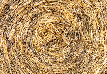 Close up of large round cylindrical straw or hay bale. Straw used as biofuel, biogas, animal feed, construction material. Straw bale background.の写真素材