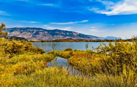 Butrint lake salt lagoon, beautiful summer view from Butrint National Park, in Albania, archeological site in Ksamil not far from Sarande on the south of Albania.の写真素材