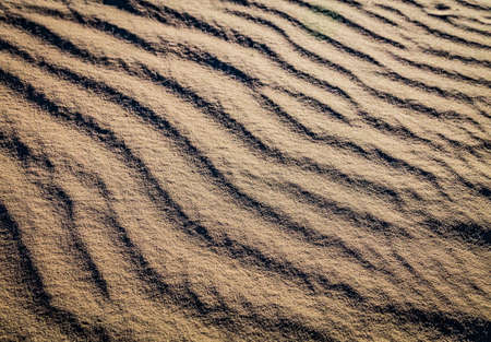 Closeup of sand ripple waves in the desert or on the beach on sunny day. Sandy desert abstract texture background at sunset. Windy day.の写真素材