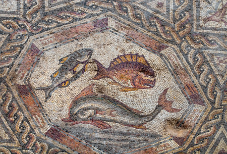 Fish on fragment of Lod Mosaic, famous Roman mosaic floor in Lod town in Israel, displayed in Shelby White and Leon Levy Lod Mosaic Center. Mosaic depicts land animals, fish and two Roman ships.の写真素材