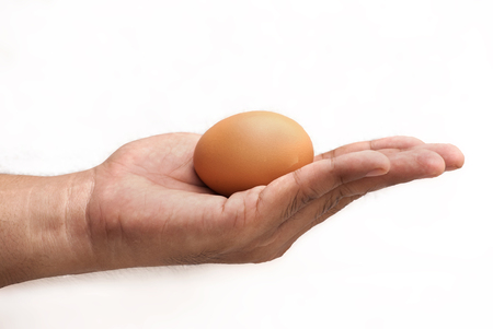 hand holding egg isolated on white backgroundの写真素材