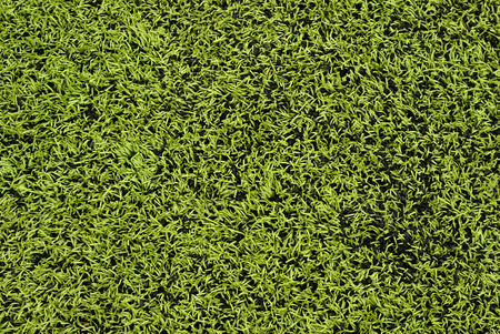Green Grass textureの写真素材