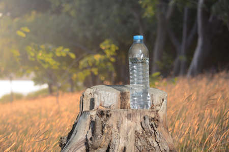 A plastic bottle on a stumpの写真素材