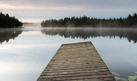 Morning in pondの写真素材