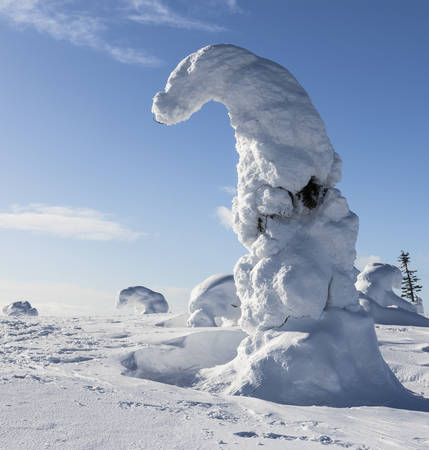 Heavy snowの写真素材