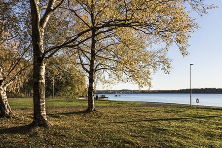 Autumnal viewの写真素材