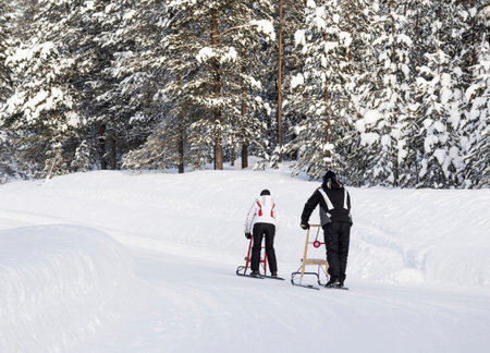 Couple moving with kicksledの写真素材