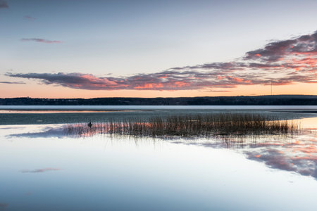 Sunset in springtimeの写真素材