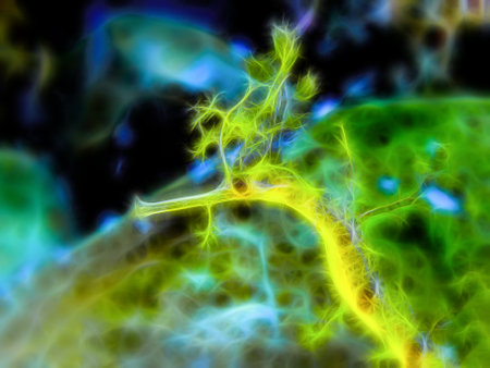 Digitally modified photo of Leafy Sea Dragon seahorseの写真素材