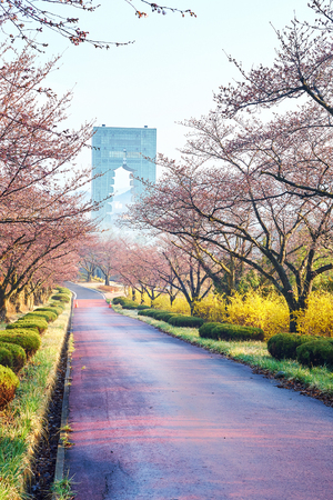 Gyeongju Tower in South Koreaの写真素材