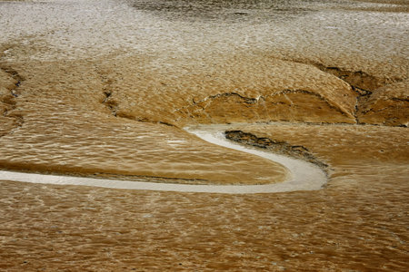 The mud flats were filmed on Daebudo in Korea.