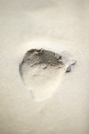 The texture of the beach sand.