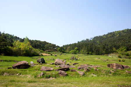 Dolmen in Gochang County, Korea.