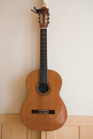 the guitar in the room