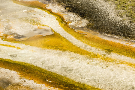 colorful abstract pattern in nature in the geyser basins of Yellowstone National Park
