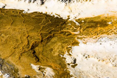 abstract patterns in the thermal hot springs in Yellowstone National Parkの写真素材